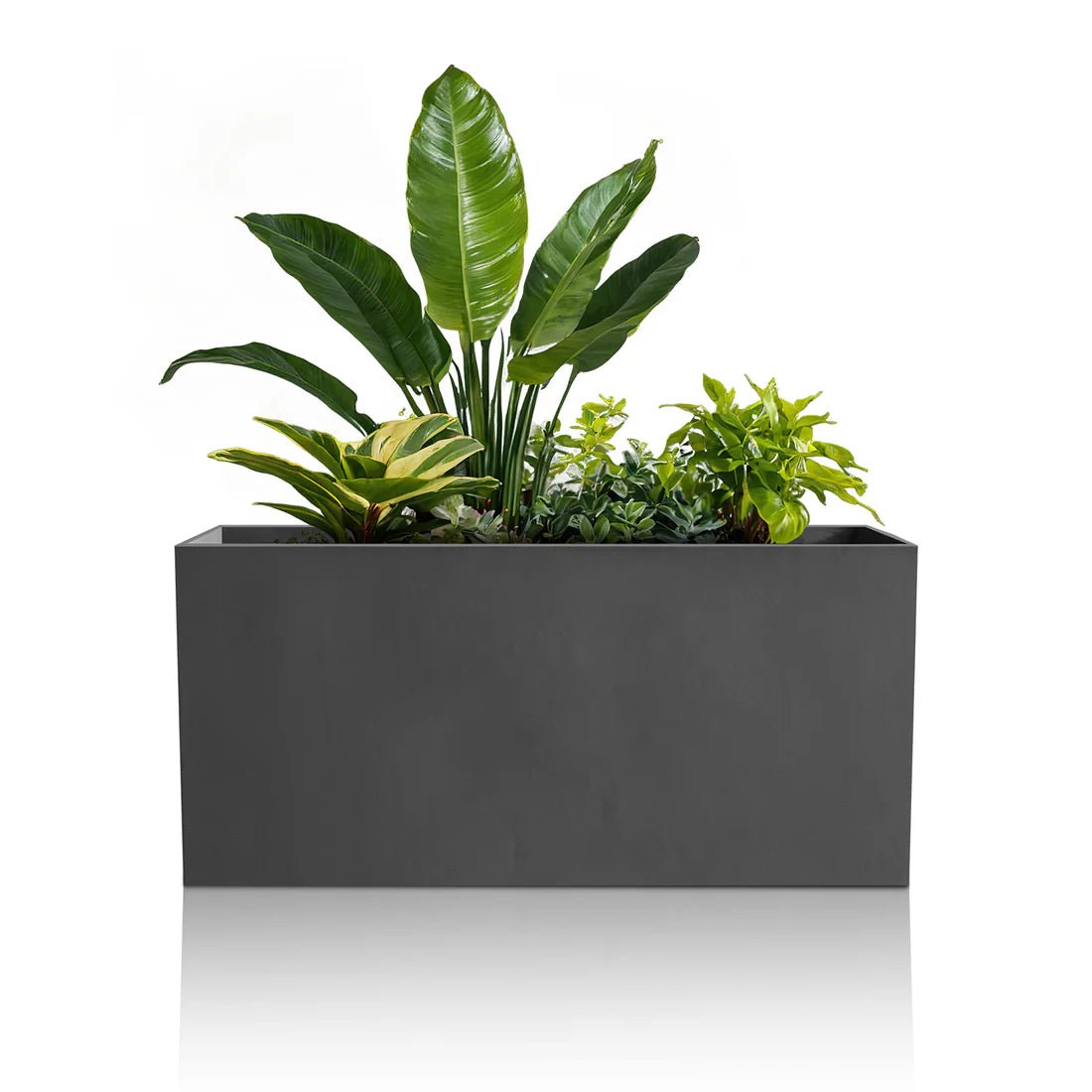 Minimalist Oasis Planter - Full Set